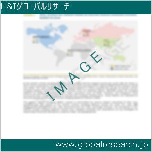 グローバルリサーチ調査レポートのイメージ